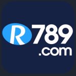R988 Game